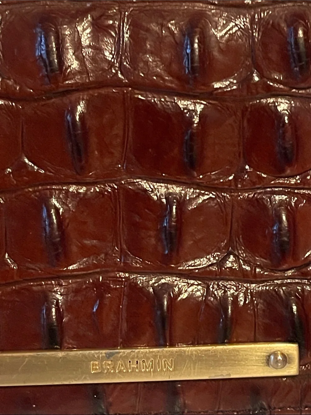 Brahmin structured croc